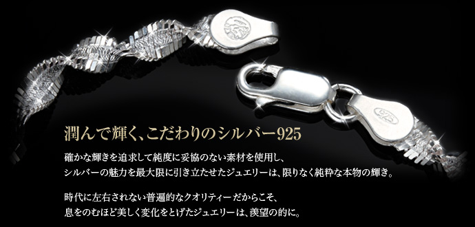 シルバー925 ネックレス ニューヨーク限定 日本未発売 ラフィリア
