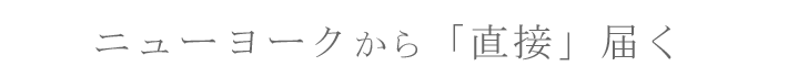 j[[N͂