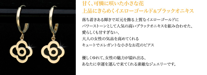 甘く、可憐に咲いた花 アナベル