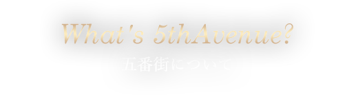 5番街について