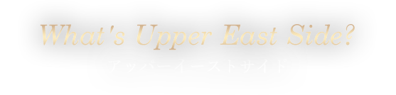 アッパーイーストサイドについて